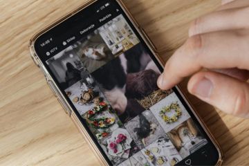 Instagram 2025, l'algorithme évolue